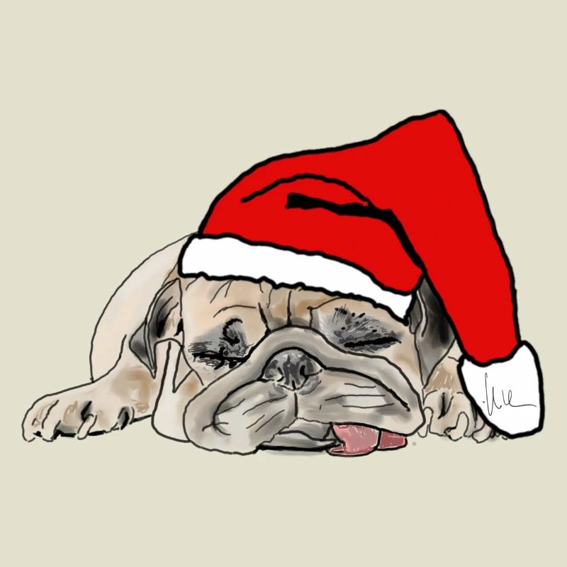 Carlin de Noël