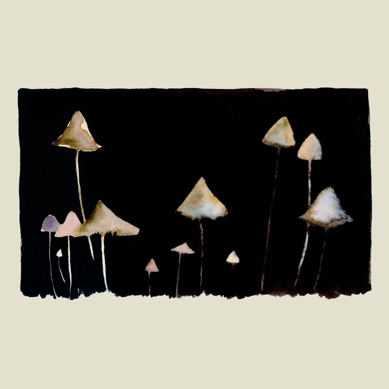 Champignons