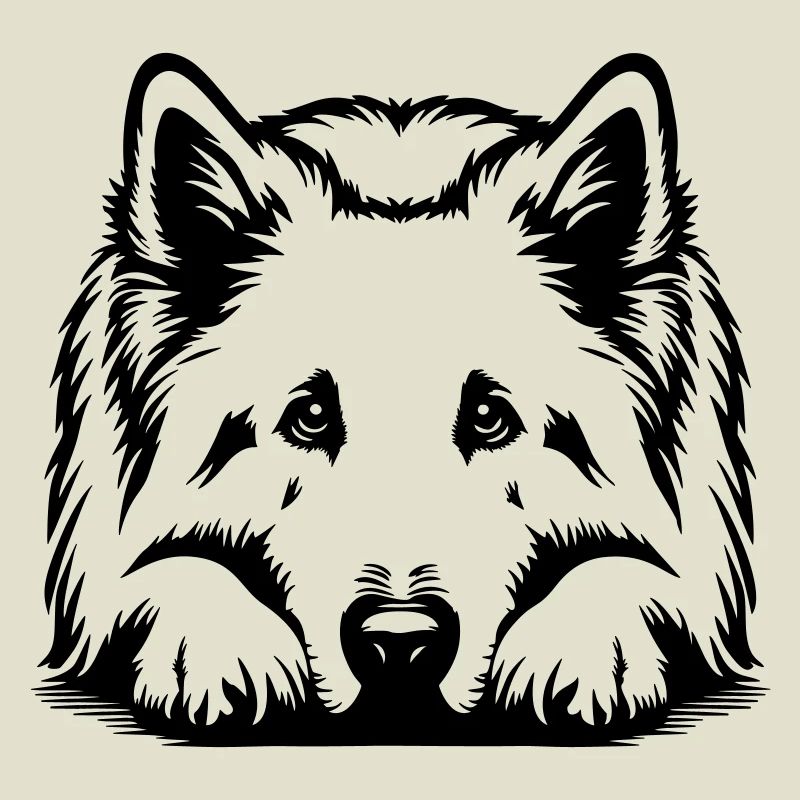 Swiss Shepherd