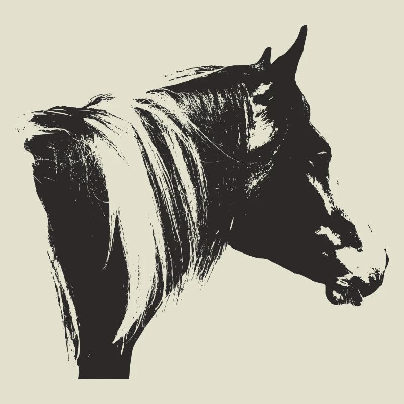 Lewitzer Schecke, Cheval Schecke, Équitation Pinto