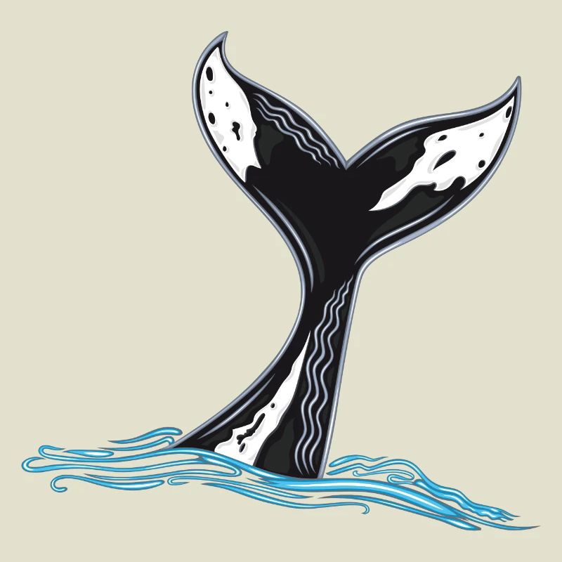 Rorqual commun