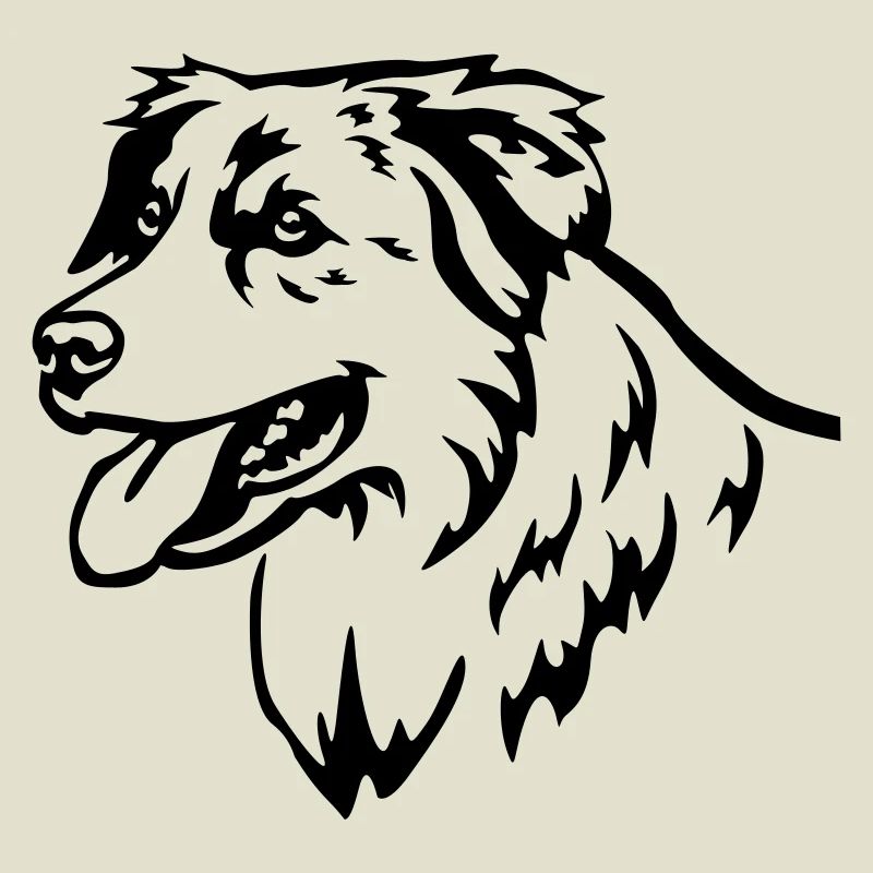 Australian Shepherd Head