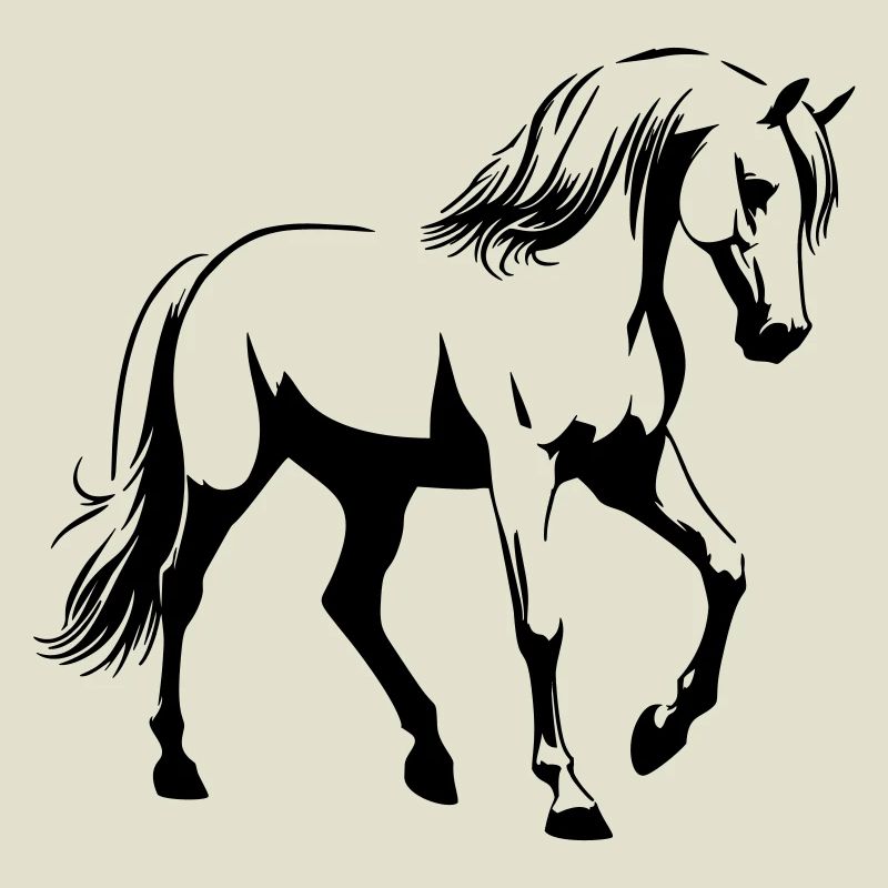 Cheval Arabe