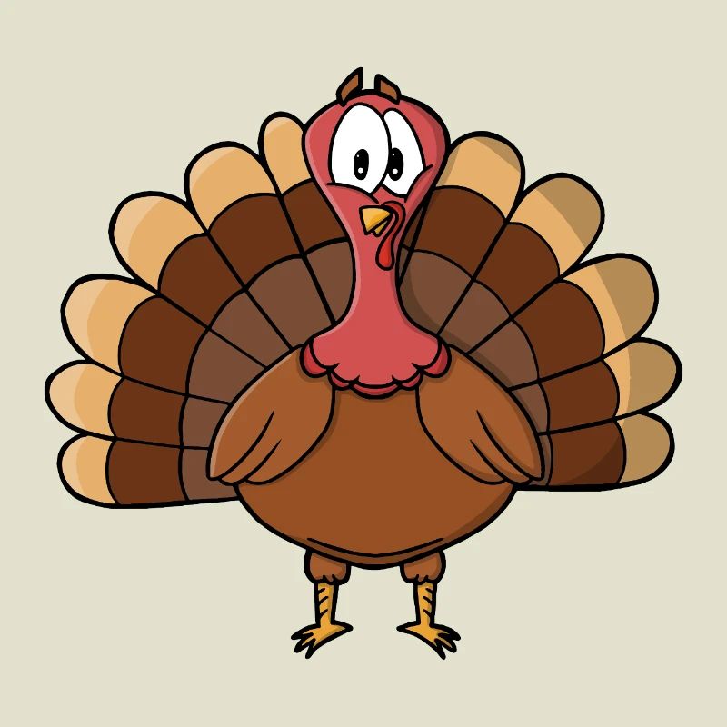 Dinde à queue large