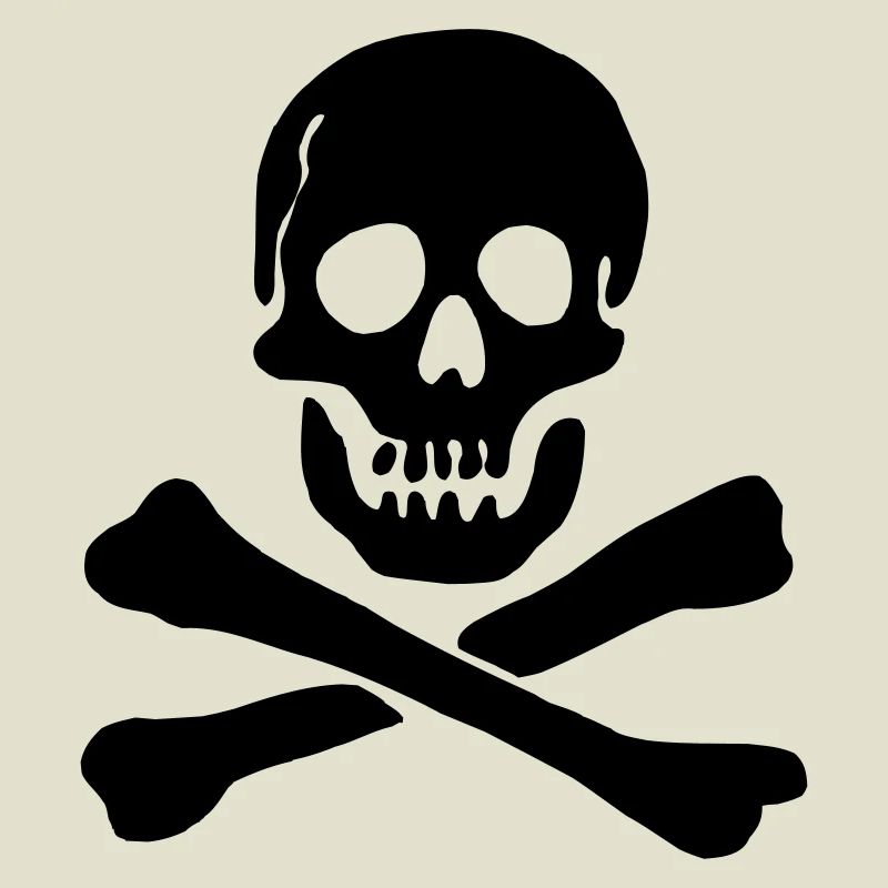 Pirate flag Skull with crossed bones