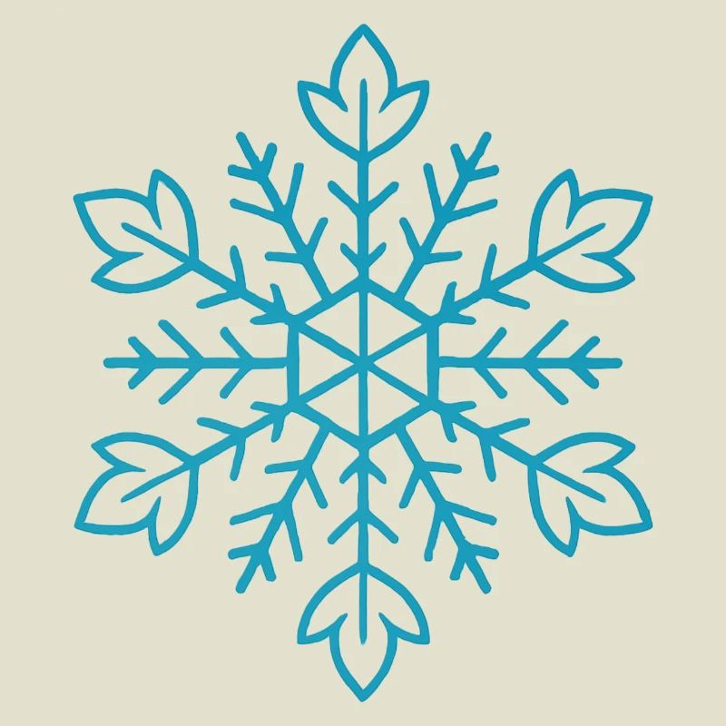 Snowflake | Mountain | Skiing | Snowboarding