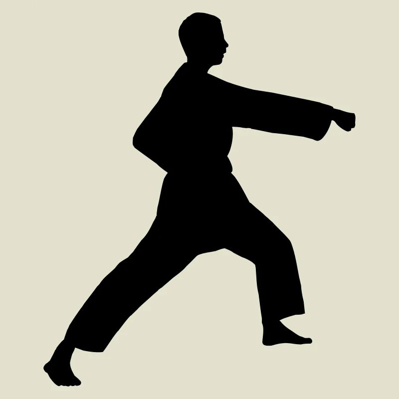 Punsch Karate oder Teakwondo Punsch