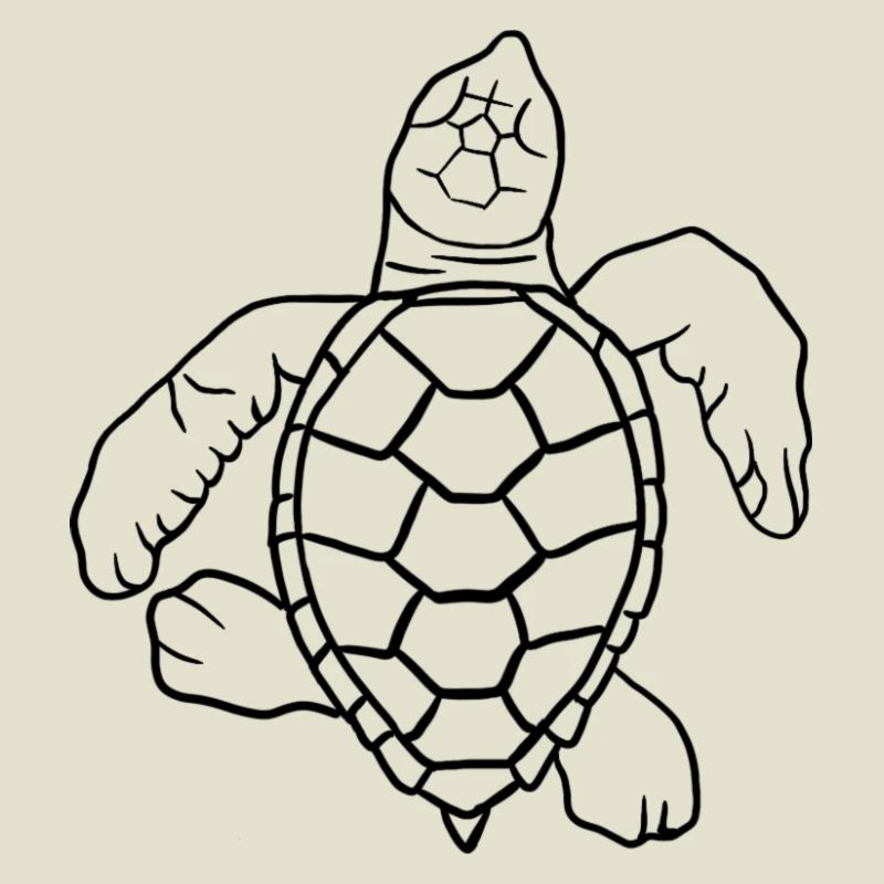 Little turtle
