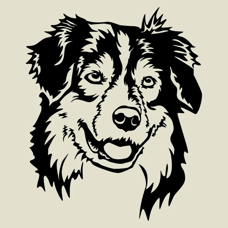 Australian Shepherd Kopf