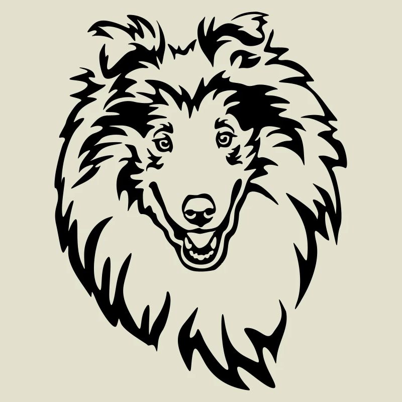 Tête de Collie