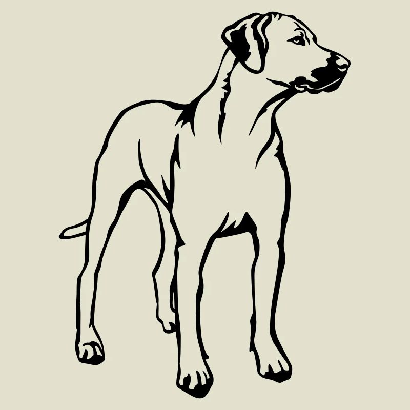 Rhodesian Ridgeback