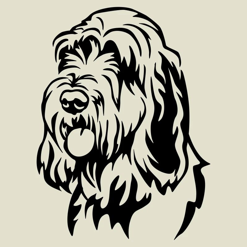 Spinone Italiano Head
