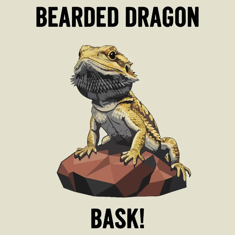 Agame Bearded Lizard Bask Bearded Dragon