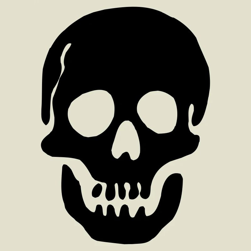 Pirate Skull Shadow Image Nice for a