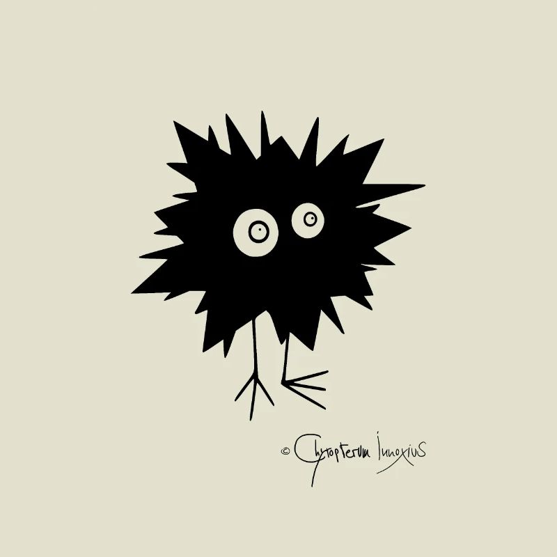 Woolly Beastie flashed © Chyropterum Innoxius