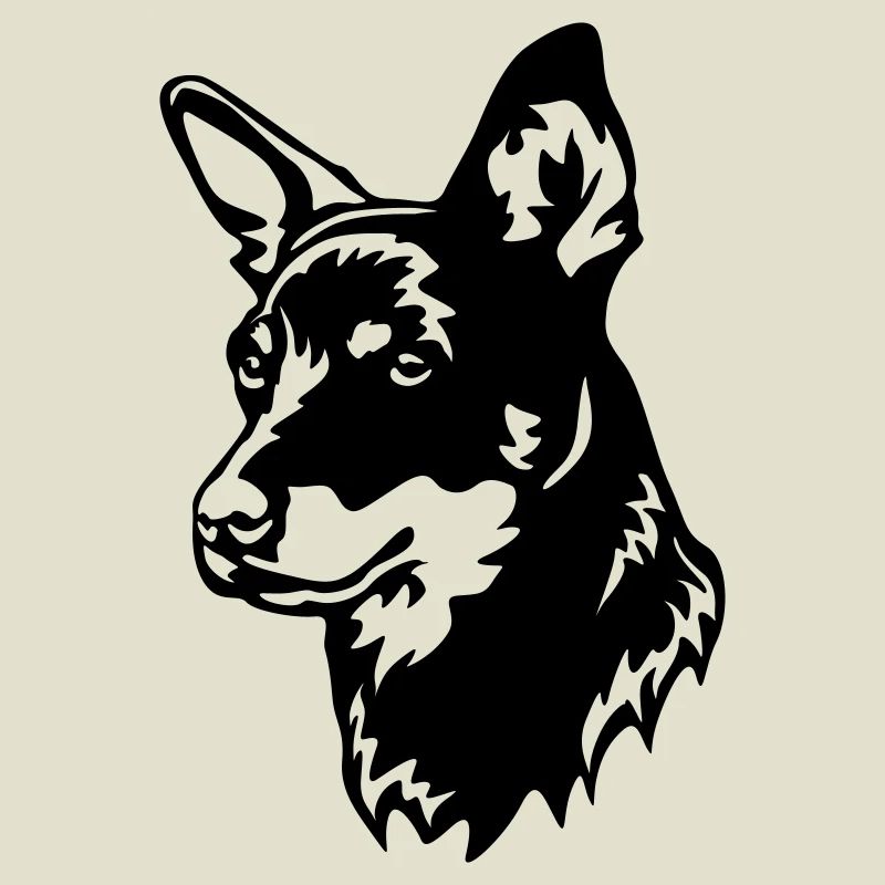 Lancashire Heeler Kopf