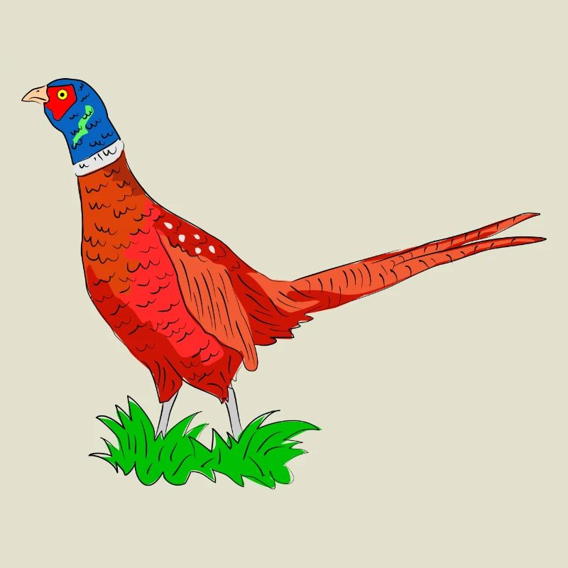 Colored Pheasant Adventure Graphic