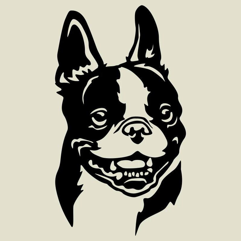 Tête de Boston Terrier
