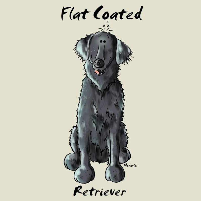 Funny Flat Coated Retriever