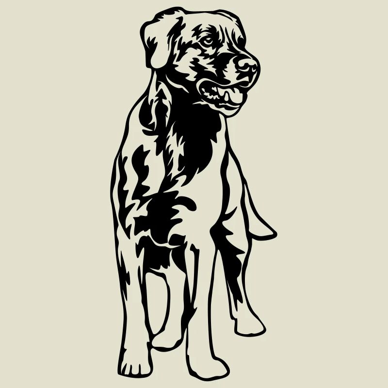 Labrador