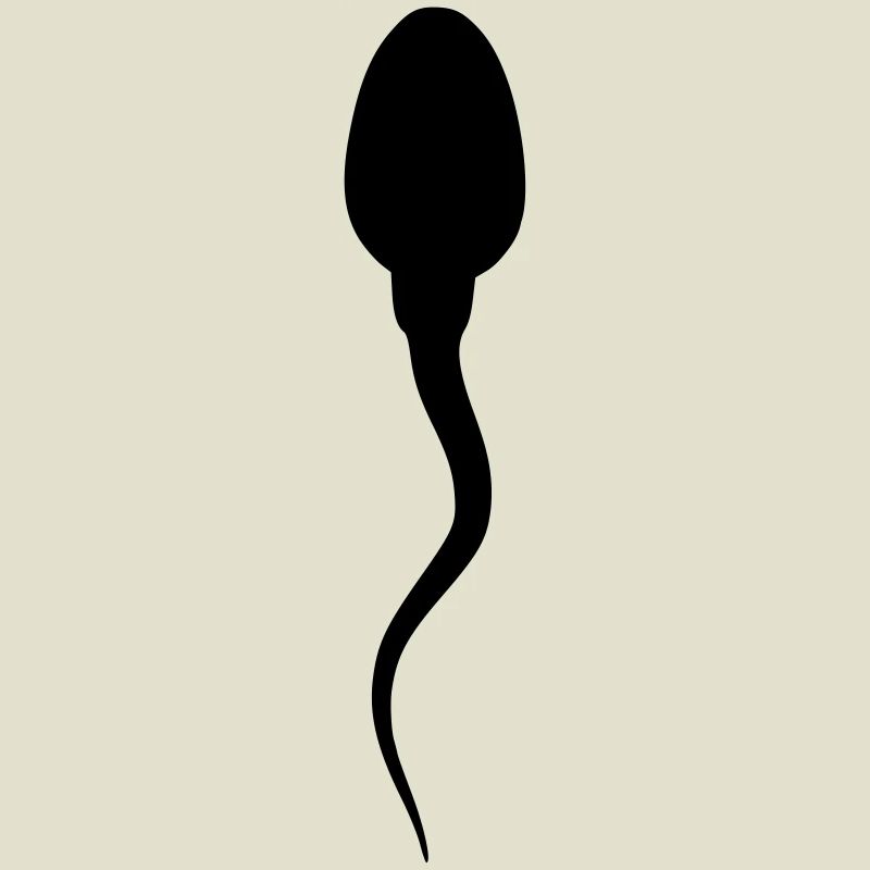 spermatozoide