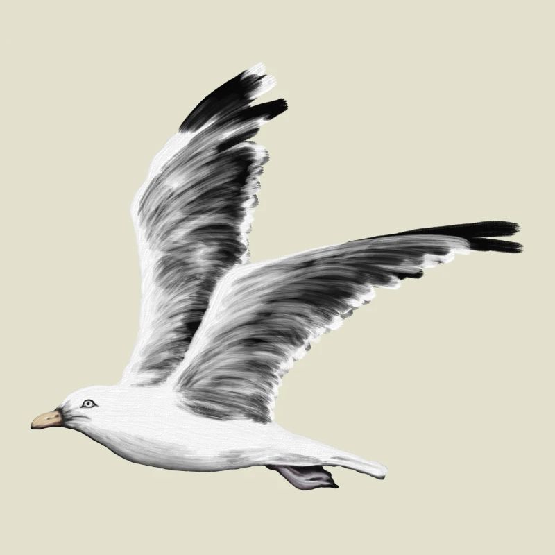 gull