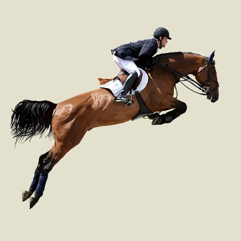 Springendes Pferd im Sprung