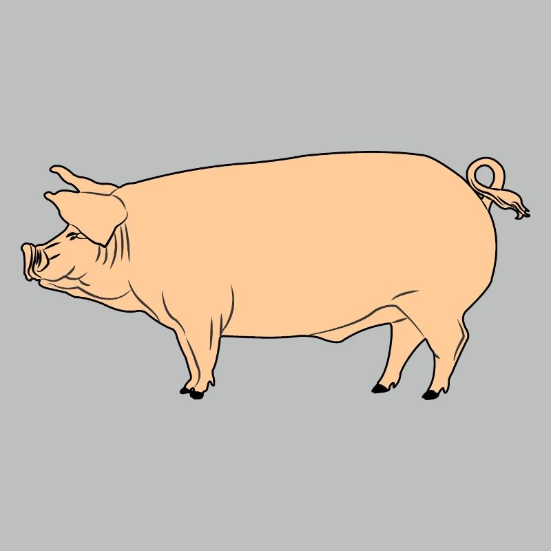 Cochon rose