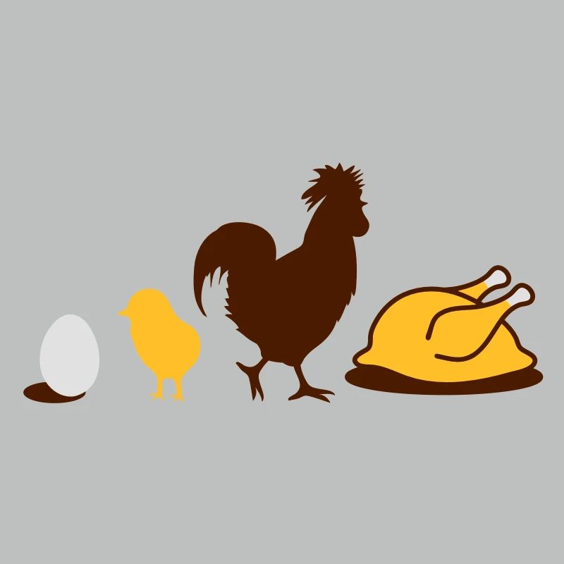 un oeuf, un poulet, un coq et une poule Evolution
