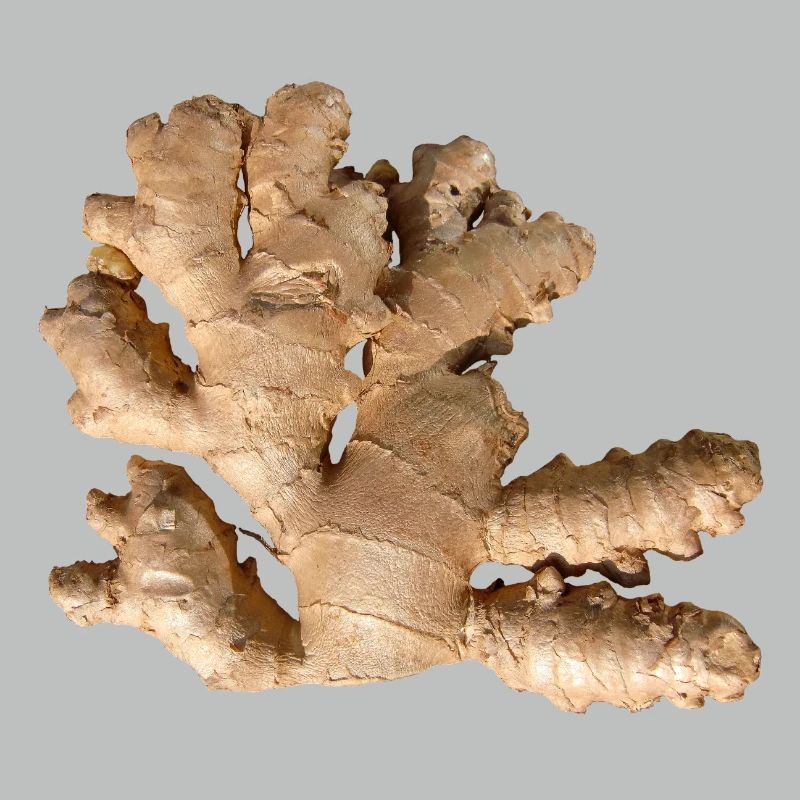 Ginger