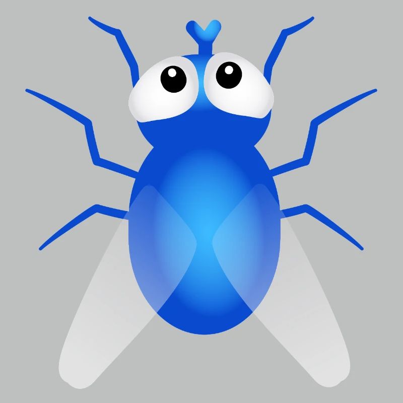 Fly
