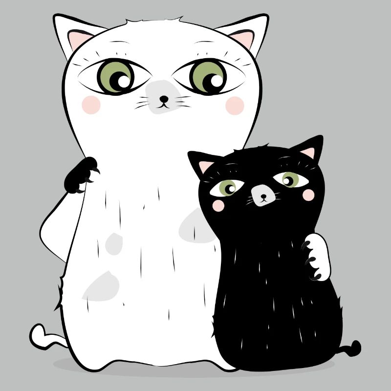 white cat & black cat