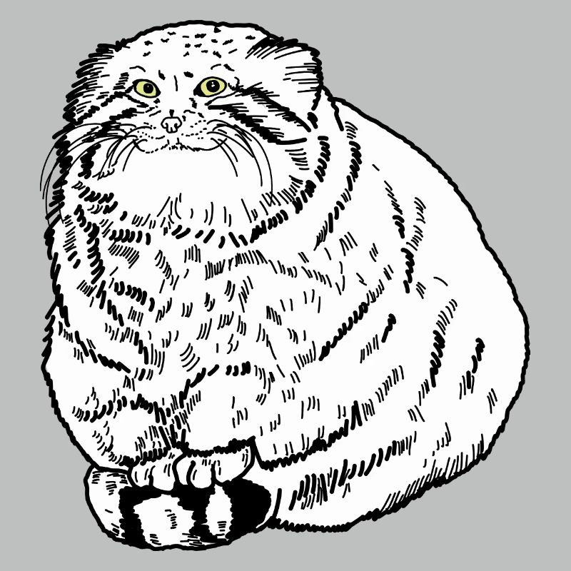Dicke Katze