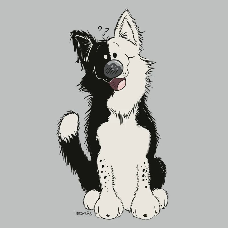 Cute Border Collie