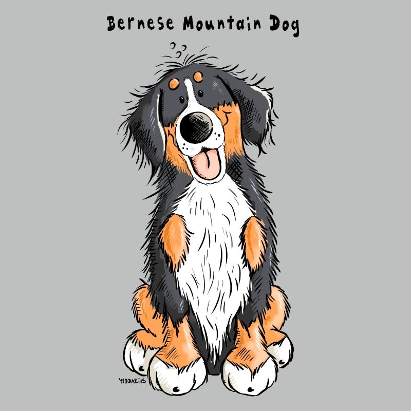 Cute Bernese Mountain Dog