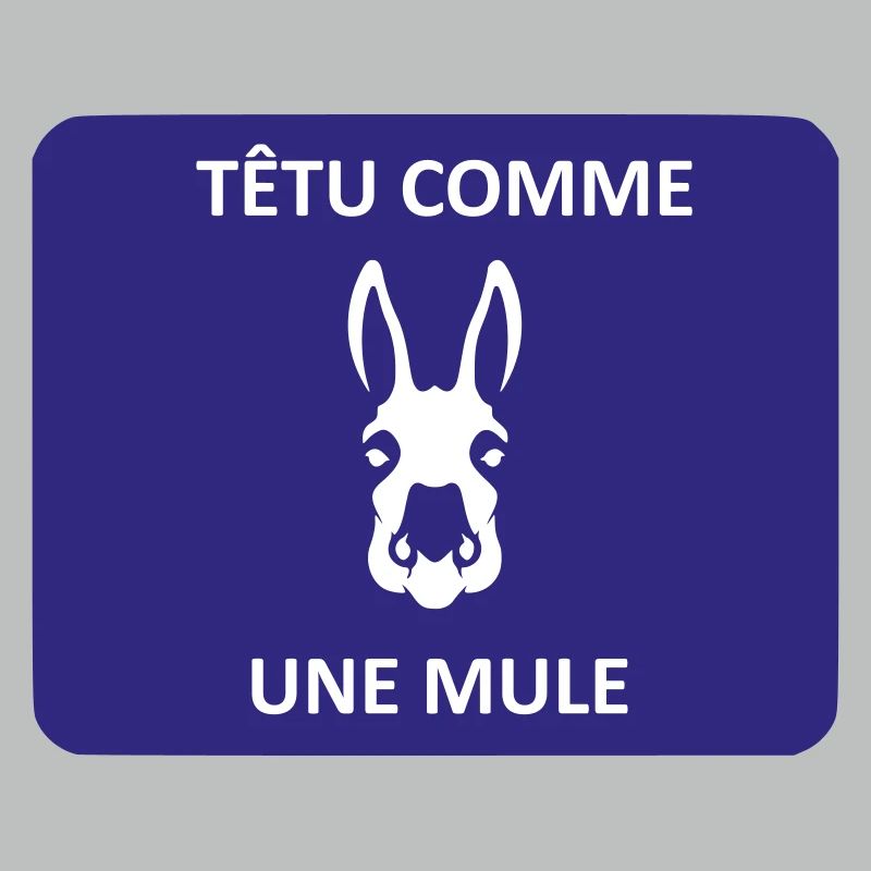Têtu comme une mule