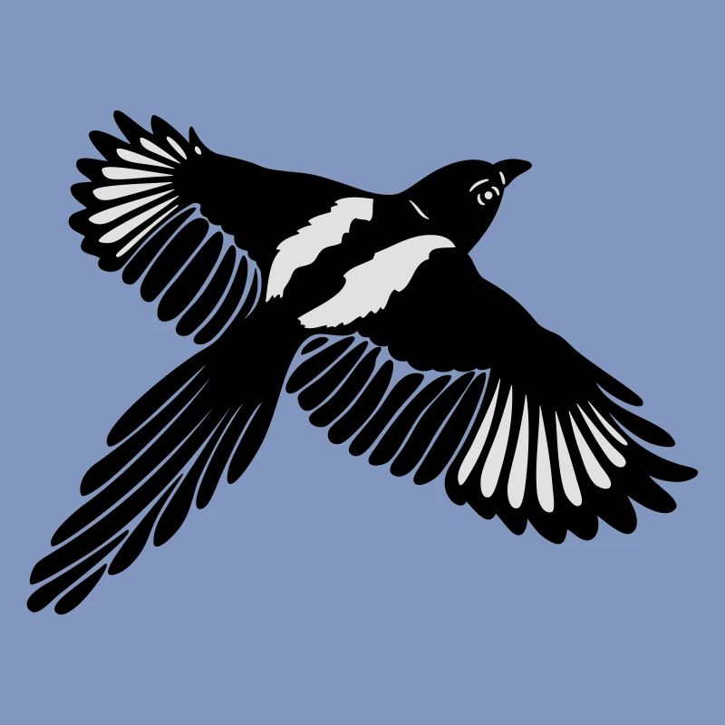Große Elster, magpie