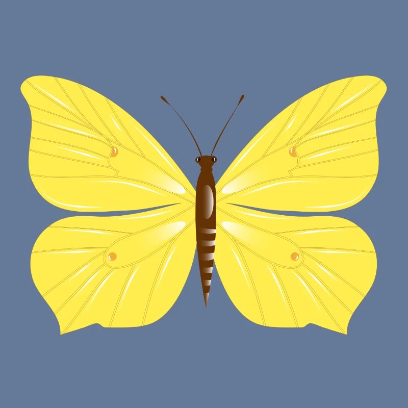 Lemon butterfly butterfly drawn by hand