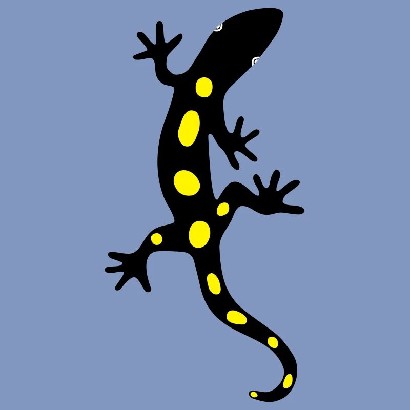 Eidechse Salamander Gecko Feuersalamander