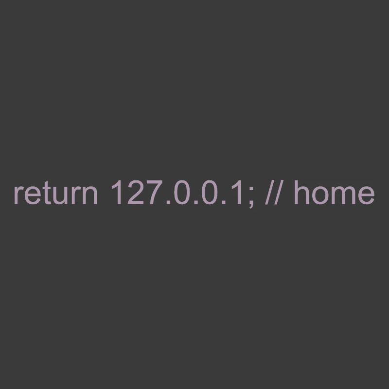 Programmer Nerd IT Joke Developer Home