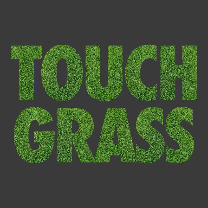 Slogan Internet du mème Touch Grass