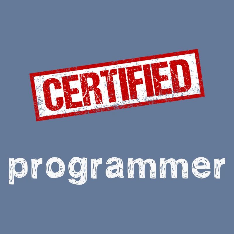 Programmeur