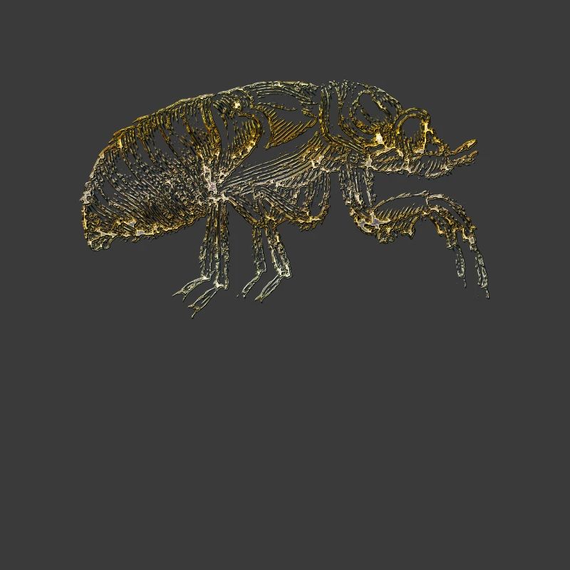 La puce