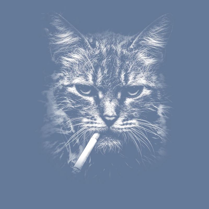 Rauchen, Zigarette, Katze raucht eine Zigarette