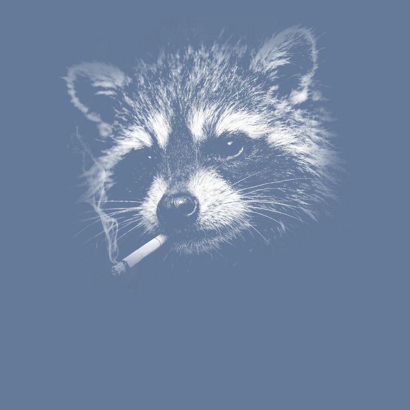 Rauchen, Zigarette, Waschbär raucht eine Zigarette