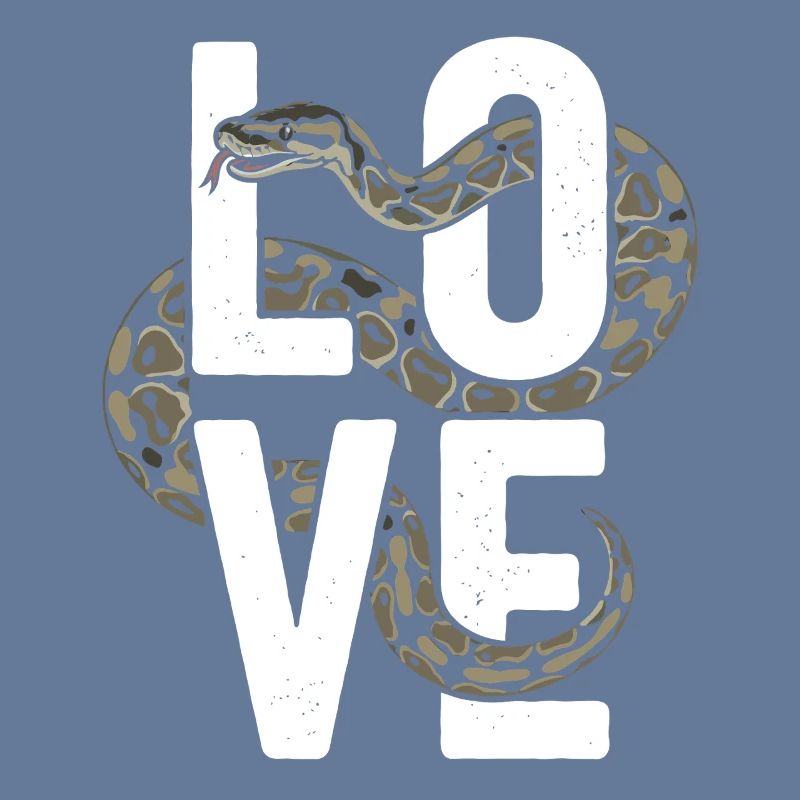 King Python Snakes LOVE Terrarium Python