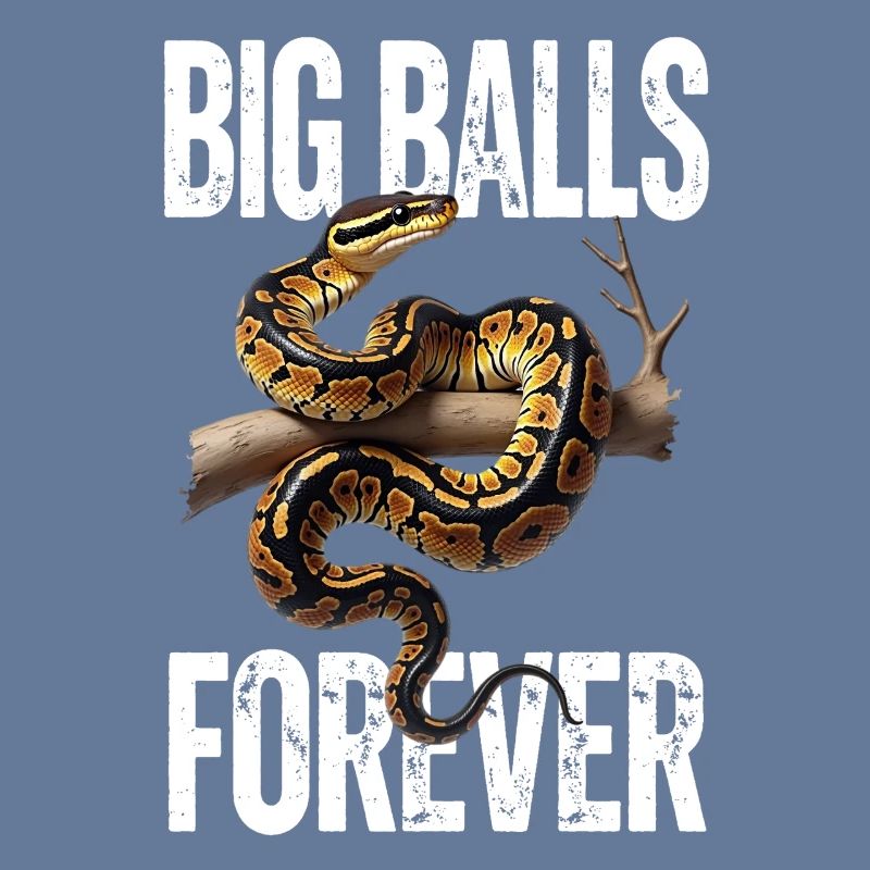 Python roi Serpents Amateurs de terrarium Python