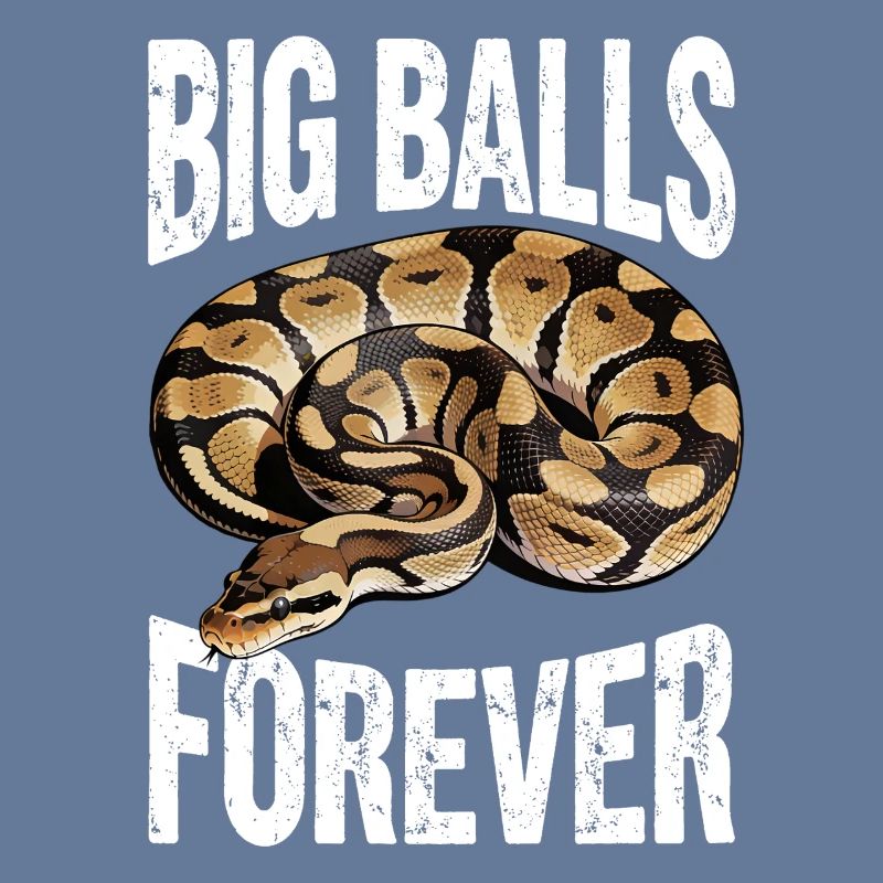 Python roi Serpents Amateurs de terrarium Python