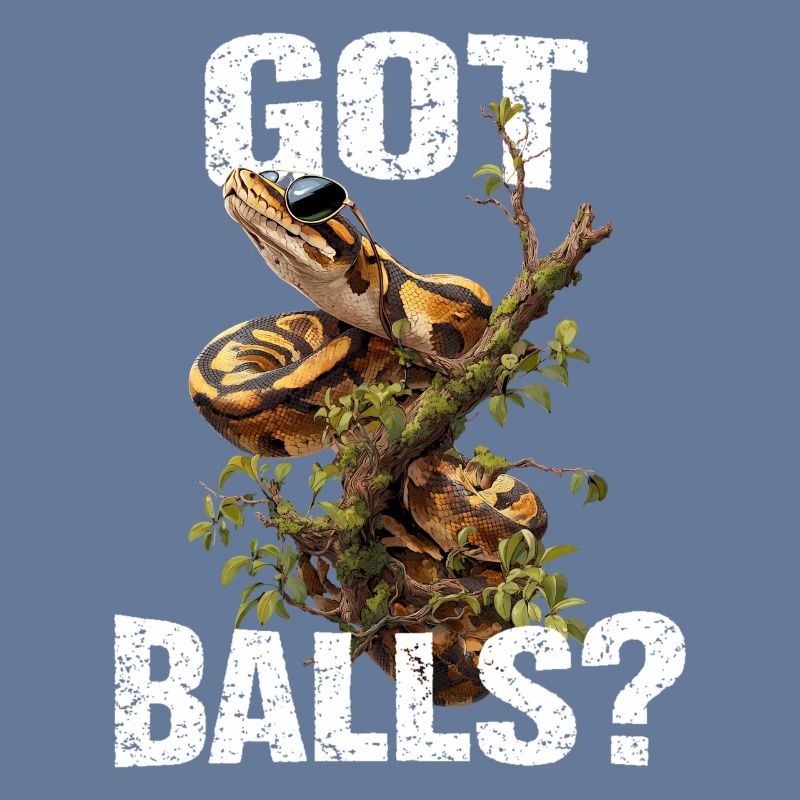 Python roi Serpents Amateurs de terrarium Python