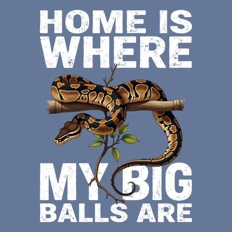 Python roi Serpents Amateurs de terrarium Python